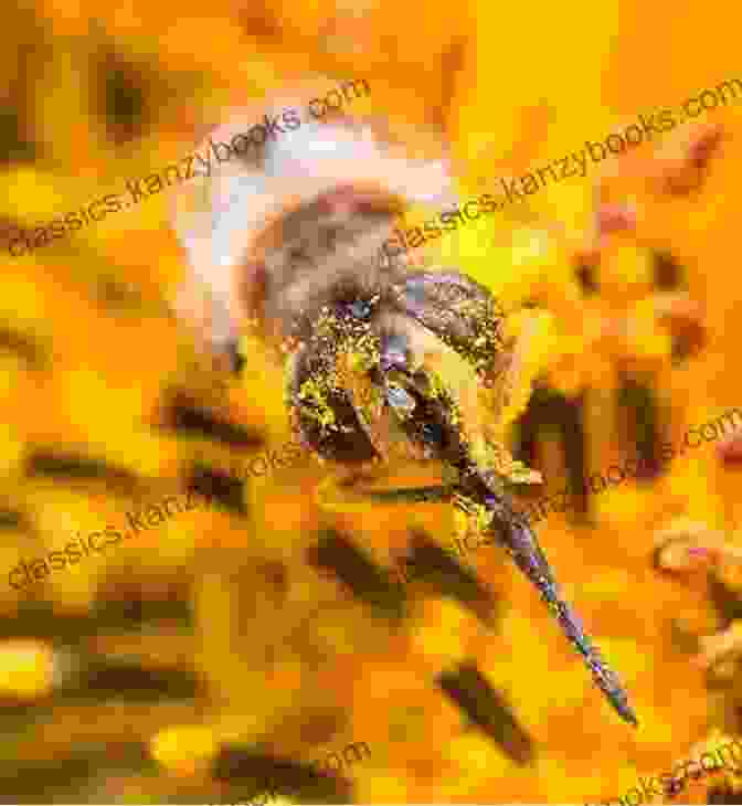 A Bee Collecting Nectar From A Flower National Geographic Readers: Bees Charles Bell