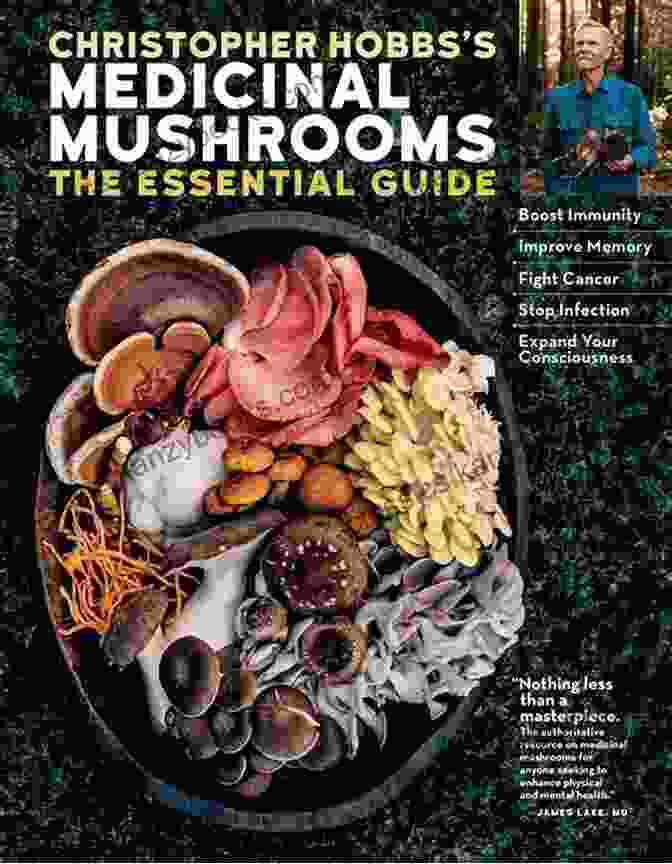 Christopher Hobbs Medicinal Mushrooms Book Cover Christopher Hobbs S Medicinal Mushrooms: The Essential Guide: Boost Immunity Improve Memory Fight Cancer Stop Infection And Expand Your Consciousness