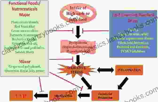 Mechanisms Of Action Of Nutraceuticals Nutraceuticals And Natural Product Derivatives: Disease Prevention Drug Discovery