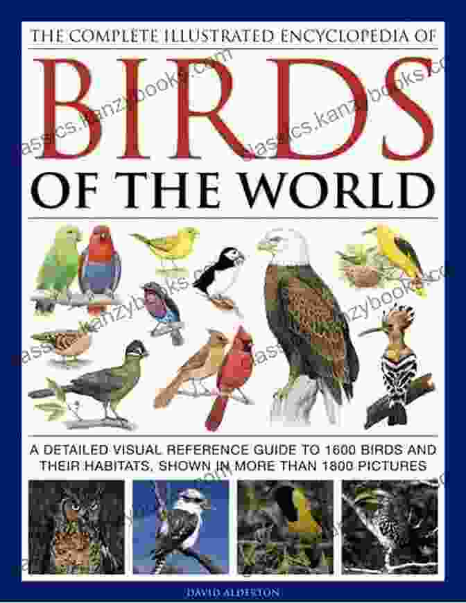 Water Foraging The Encyclopedia Of Birds: Common Birds Feeding Behavior Eggs Young Diet And Nesting