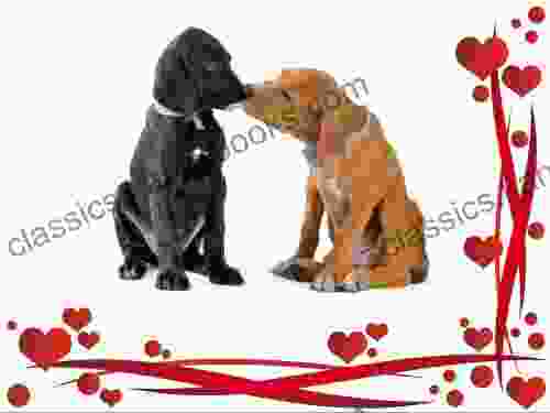 Valentines Day : Even Animals Kiss (Great For Valentines Day) (Great For Kids)