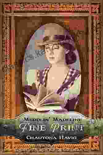 Fine Print (Meddlin Madeline Mysteries 3)